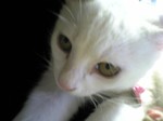 Cb3ea6cd10c263292bbaa3d963dba7bb