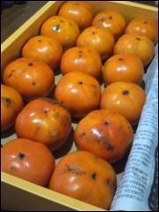 9f3fd1baafe37810e5a5915cdd3e6e9b