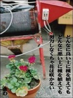 466aceb435ba9cc31e3dbcb70dc3c34d