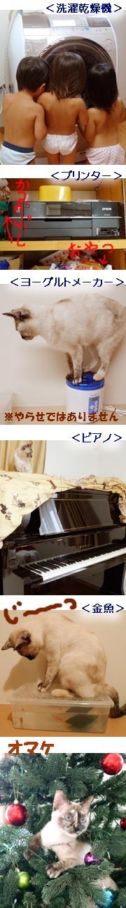 F272426054e229387622e8c7fb7d4194