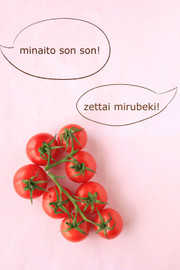 80d0d5ed2320bc9aaff2954560b6c95f