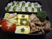 63a566ed6241fdaa9498b087f6045ac5