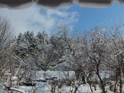920d89b2376a6aa1e4b51ecff99996a0