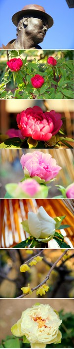 C783fa01fb3aaec380bef56807d896b1