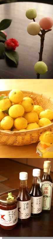 55fda75c2af74a7ea3aa09a3bdd6dd37