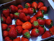 C55b72ba93513c3fd74b2ee856c80f3b