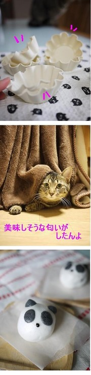D1a4d9c25ebf1bad07b75d0ab38b31e9
