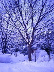 1f60fe99a1404c021be455dc05186006