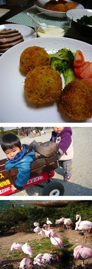 B1b8155dbe67b122c24c7939fa83c0c8