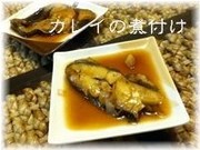 Ae944a5e4de75ab6617f17bdc7bce542