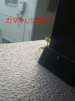 7811e35a09edb06e2aad0bdd0e316881