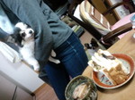D9188fbfd0d81ebd6f619905055e3530
