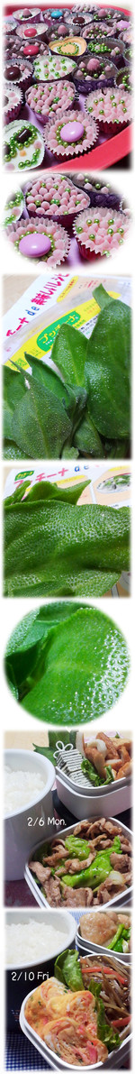 Bf9713fd69fcd95ffdf0cad07fc603f8