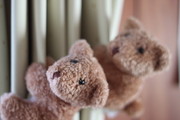 Fa026730592db90a2abe28251ed80a58