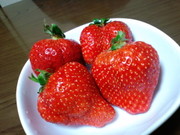4e83cd65fbe74f55525179eec2ac2e09