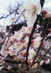 A2d05cd0d8e078e53d2d83a69cc242c7