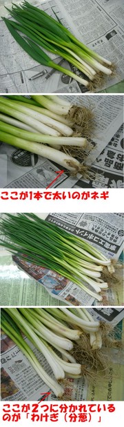85f4367cf531df362677b9bf57d0f287