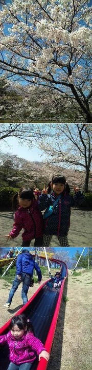 E9cd81418194fbb536dad5ca65d48da0