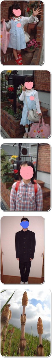 8f504d87ebe1148f26eb26337b0d52df