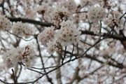 37f08714d21658027576f3aa134f9be0