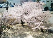 3193cb69e449c6ae5940aa1b073c7d15