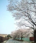 02ccb7229a0d71afa3ea60b820725c06