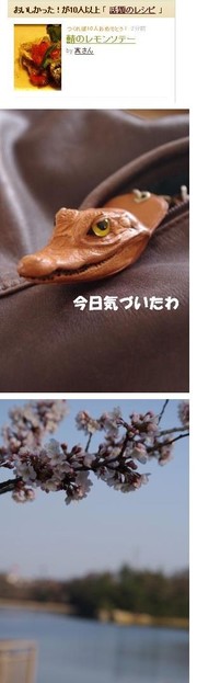08b8ac10912091c5a32a54a88707d23d