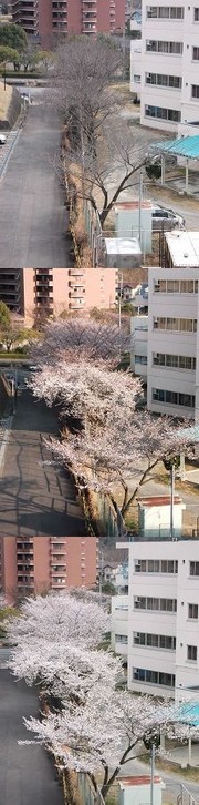 Ab505aa4abe329fea072319ad2c451d2