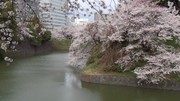D30725a310107570f64226a04274314e
