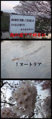 01aaa34acf667c08359fceb9fb778f88