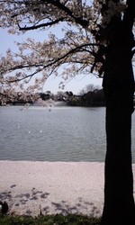 Cc873d3ffa3d72555f090dbd168903ed