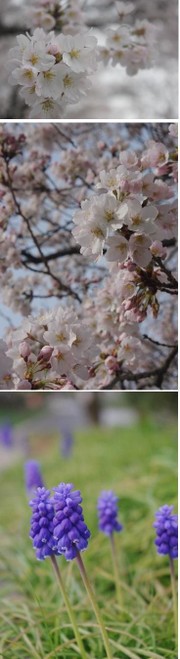 B722ce47b50aae707fa3064095a0c103