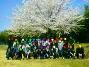 B3b0395ffca3edbf5d5384801552cc33