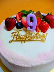 91cbeb0711ba04d12044b2c949cc55ca