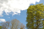 6acbf04c05802840e9276210120b2e69