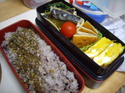 9a32129577dd9924cf861b8aa47d60c7