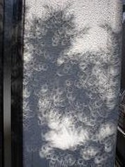 F679c831e3900d9597ebfb61700d193b