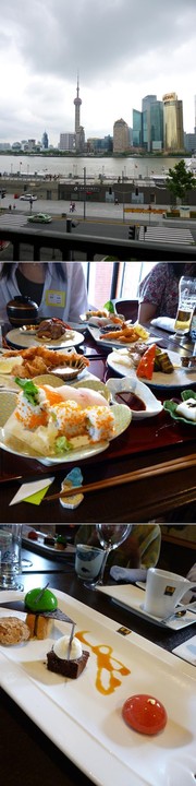 9556ff16cb0454098753eb53f5990572