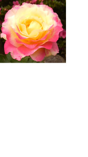 626ae5cc4a5a2b5a64e25742edaf6b85