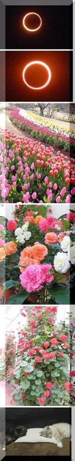 681043fa2eba8bd7bb969cf6266445e6