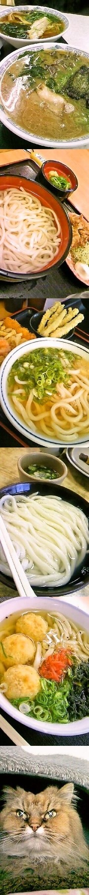 5760b4a1b9fc7422bf5d359c6e199203