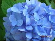 F11c045bf2b0b1f1f63a53315018d0a4