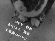 C84c02186d351ada53d2b75e3ac16c1d