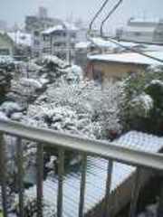 2591415ab1691446686dcee9feb8b39b