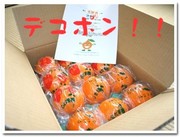 Dc95656e28efffcf91eb6ae3df229cce