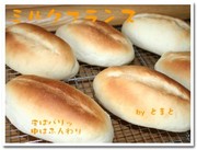 44f30c7af533b573d4a5c81d67543226