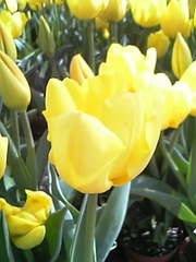 6bbeda421f090693799dd8b78797cf57