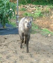 Bcef96045fcc04bed62aec54995c7b48