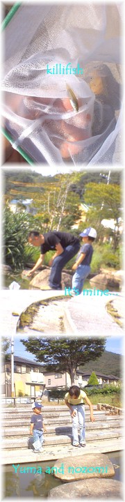789bc4f79ef6cd75fff8e6260bd0f7cd