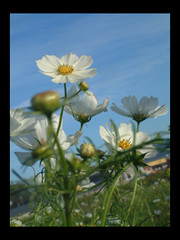 Ef2a7e1ec6796307798d160c7bfc3d44